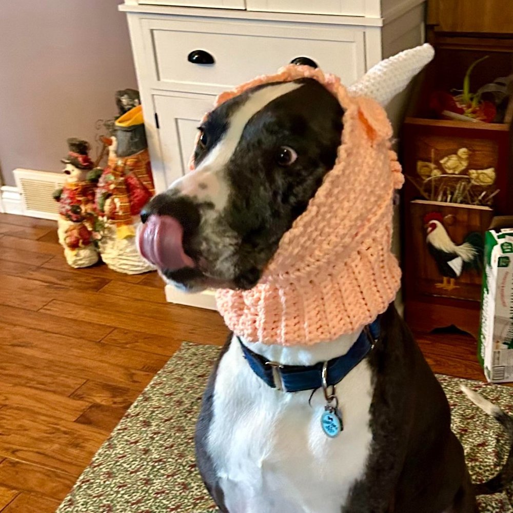 Crochet Unicorn Dog Hat
